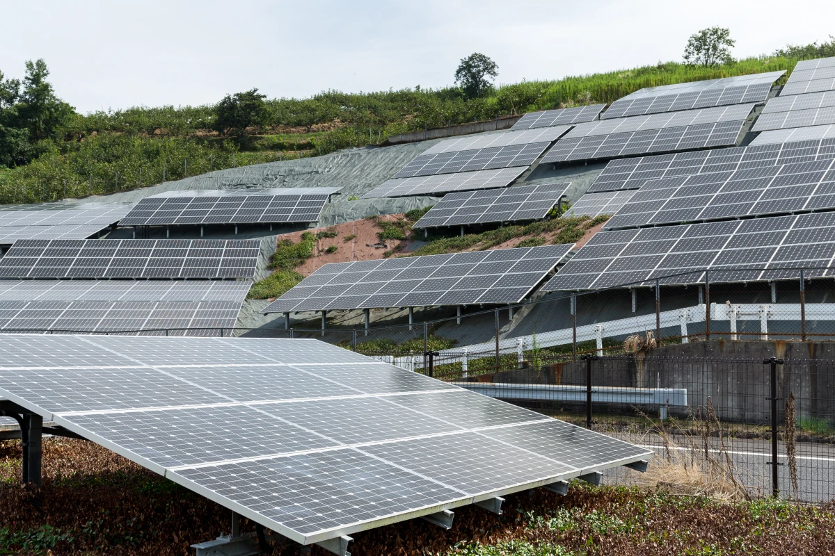 Panneau solaire en copropriété : un investissement écologique et rentable